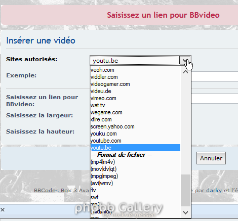 icone video 2