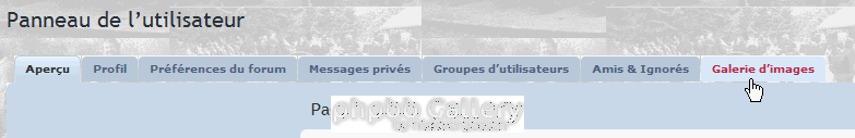 Album 10 onglet galerie