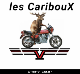 les cariboux